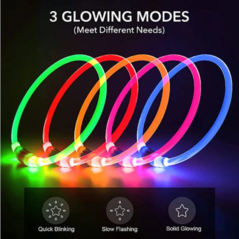 NightSafe USB Rechargeable Pet Necklace