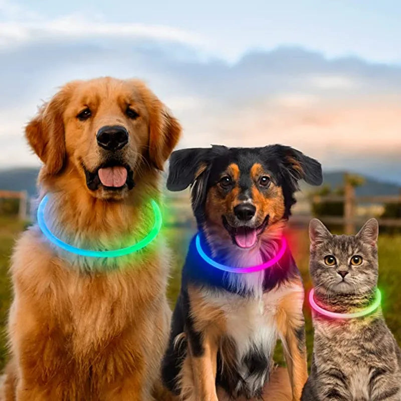 NightSafe USB Rechargeable Pet Necklace