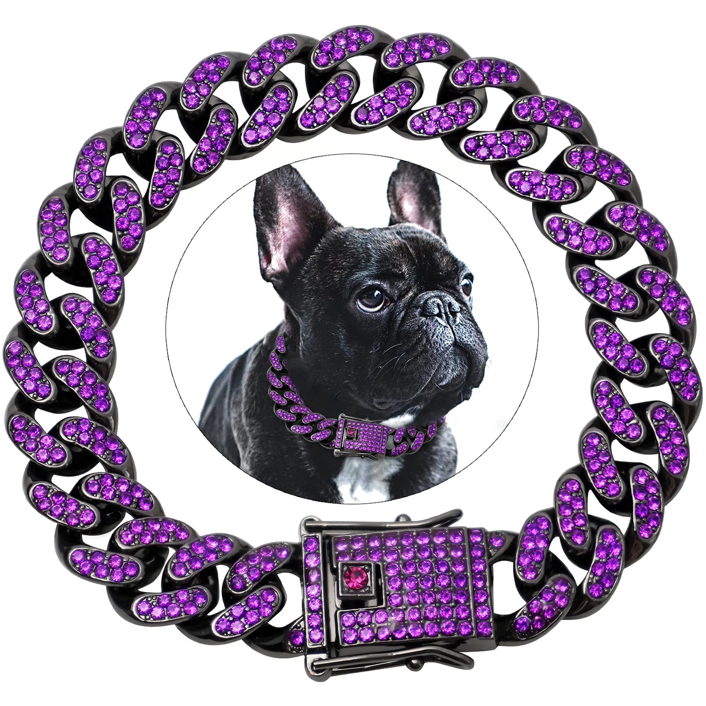 Collier cubain de luxe en diamant pour chiens et chats