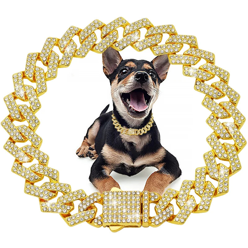 Collier cubain de luxe en diamant pour chiens et chats