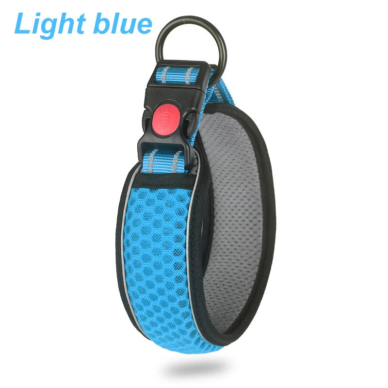 Glow Grid Safety Collar