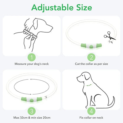 NightSafe USB Rechargeable Pet Necklace