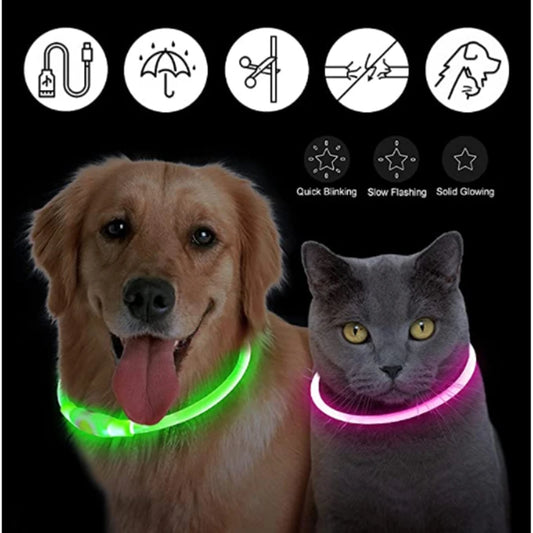 NightSafe USB Rechargeable Pet Necklace