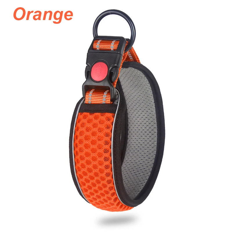 Glow Grid Safety Collar