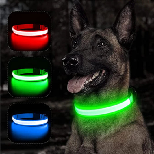 LuxeGlow USB Rechargeable LED Pet Collar