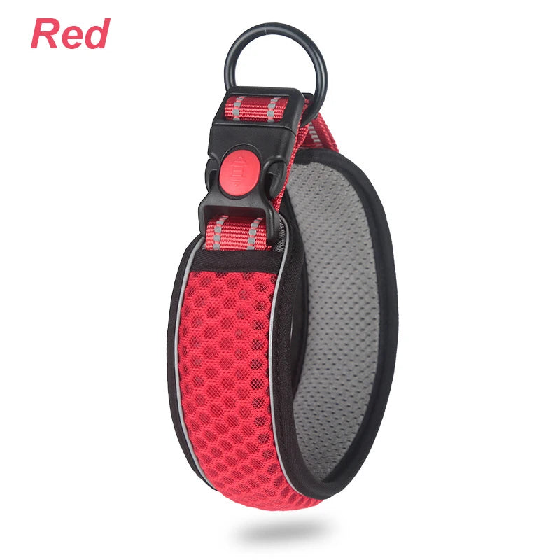 Glow Grid Safety Collar