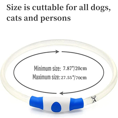 NightSafe USB Rechargeable Pet Necklace