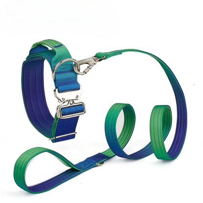 GradientGuard Collar & Lead Set