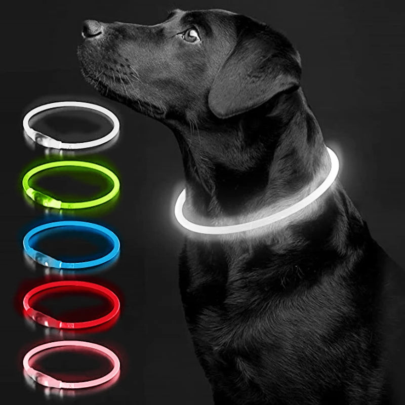 NightSafe USB Rechargeable Pet Necklace