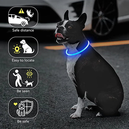 NightSafe USB Rechargeable Pet Necklace