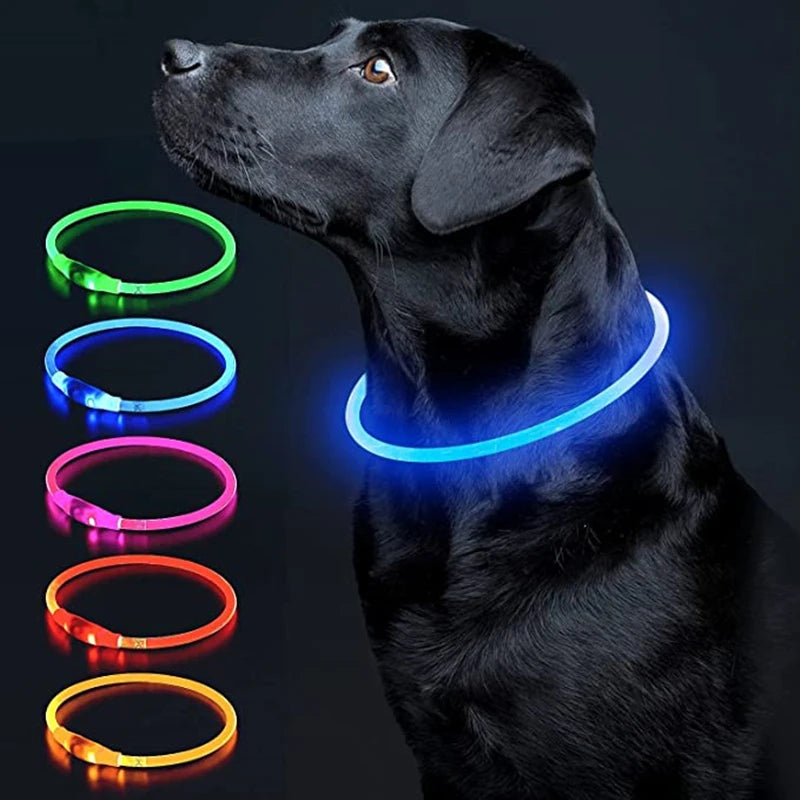 NightSafe USB Rechargeable Pet Necklace