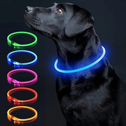 NightSafe USB Rechargeable Pet Necklace