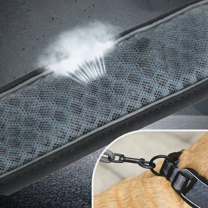 Glow Grid Safety Collar