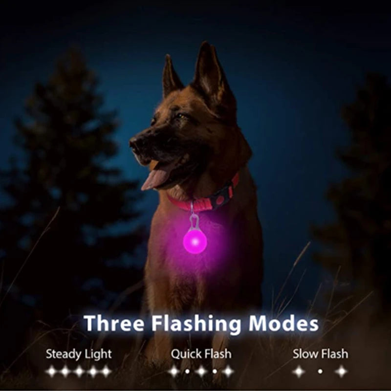 LuxeGlow USB Rechargeable LED Pet Collar