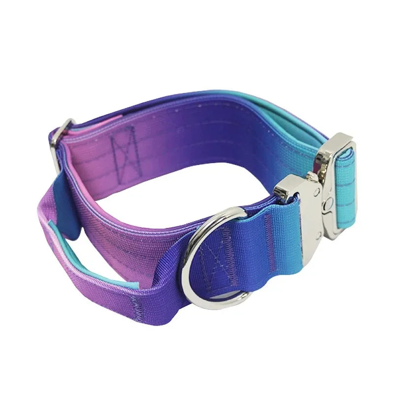 GradientGuard Collar & Lead Set