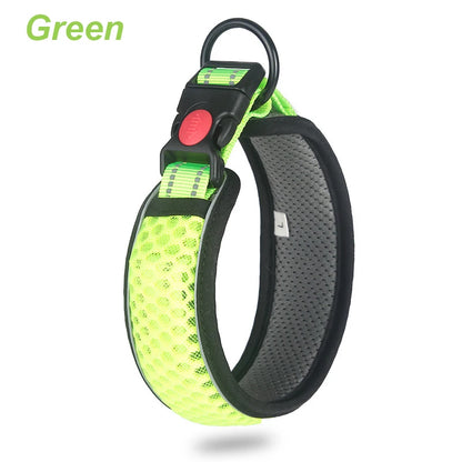 Glow Grid Safety Collar