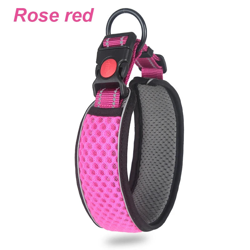 Glow Grid Safety Collar
