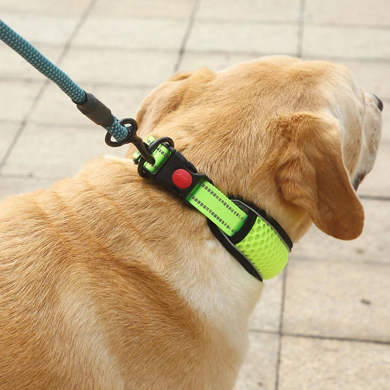 Glow Grid Safety Collar
