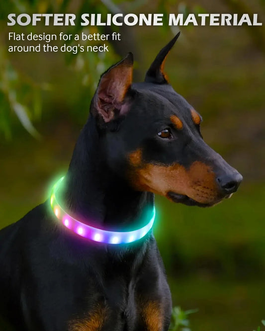 ColourShift Safety LED Collar