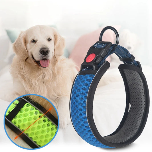 Glow Grid Safety Collar