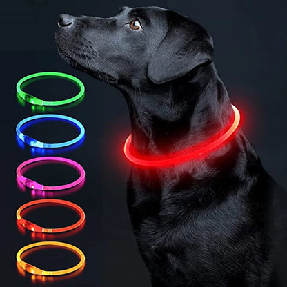 NightSafe USB Rechargeable Pet Necklace