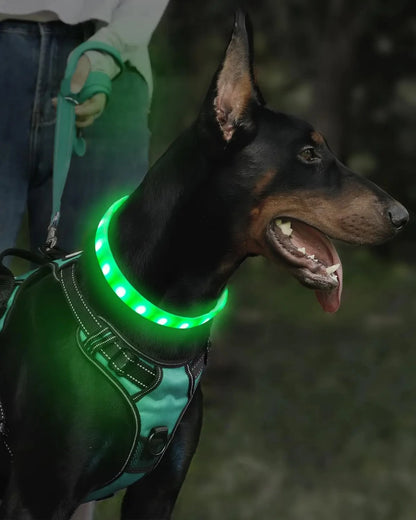 ColourShift Safety LED Collar