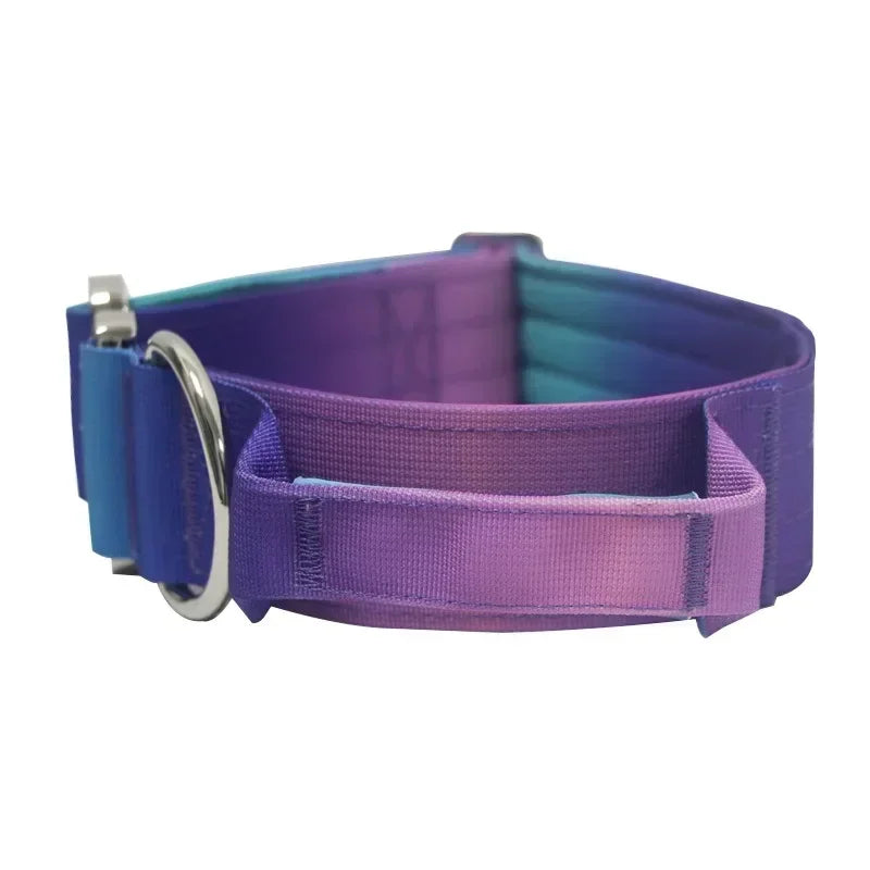 GradientGuard Collar & Lead Set