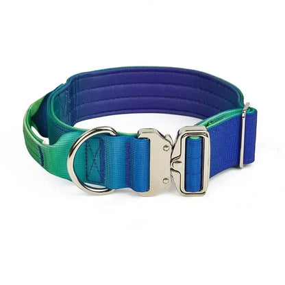 GradientGuard Collar & Lead Set