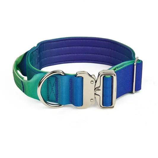 GradientGuard Collar & Lead Set