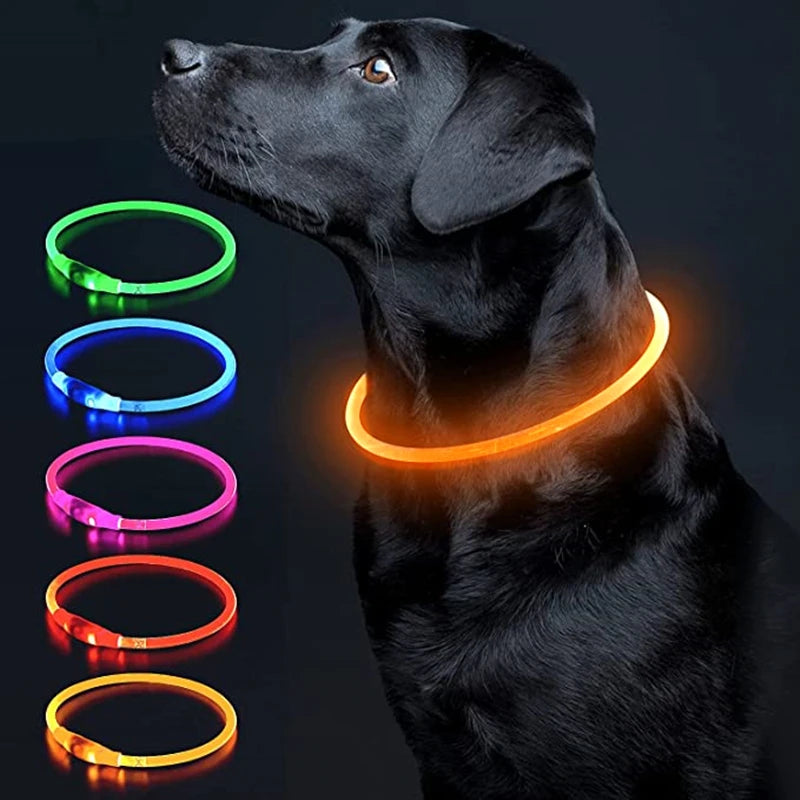 NightSafe USB Rechargeable Pet Necklace