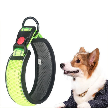 Glow Grid Safety Collar
