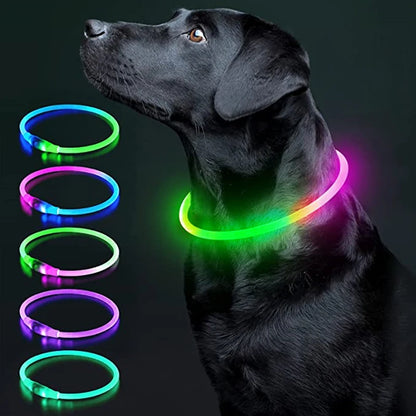 NightSafe USB Rechargeable Pet Necklace