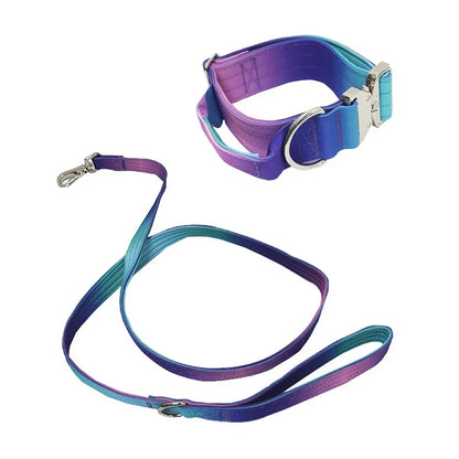 GradientGuard Collar & Lead Set