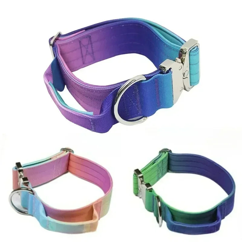 GradientGuard Collar & Lead Set