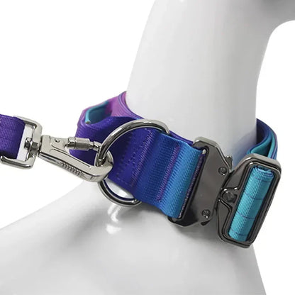 GradientGuard Collar & Lead Set
