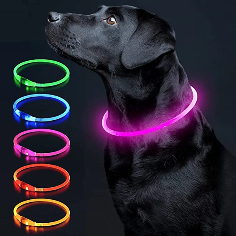 NightSafe USB Rechargeable Pet Necklace