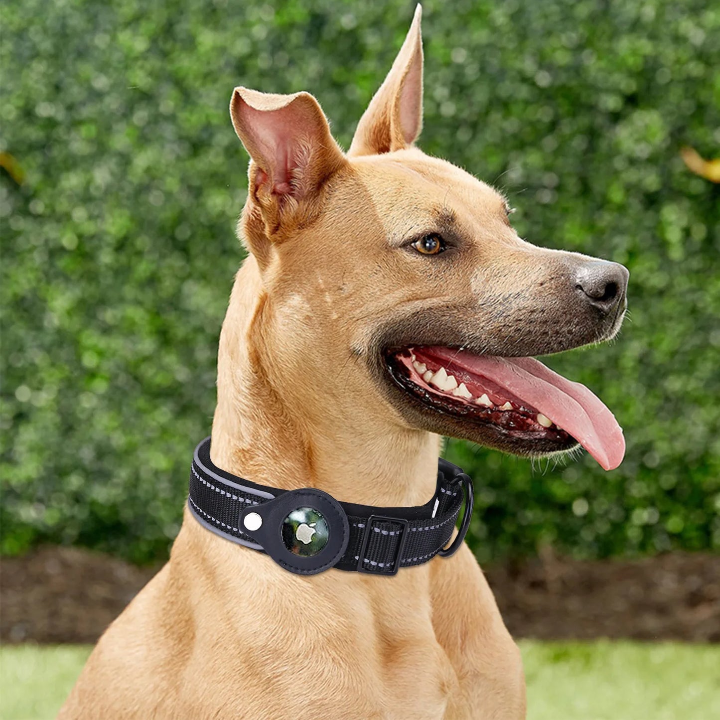 SafeTrack AirTag Collar Pod