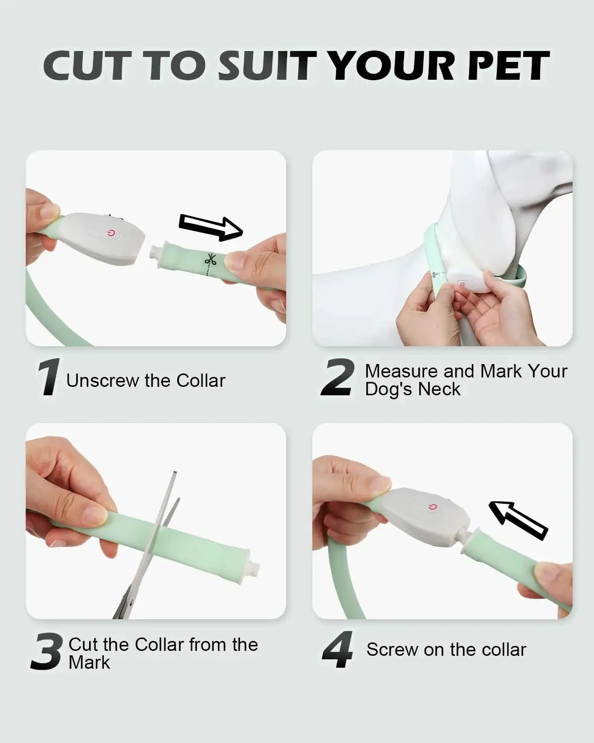 ColourShift Safety LED Collar