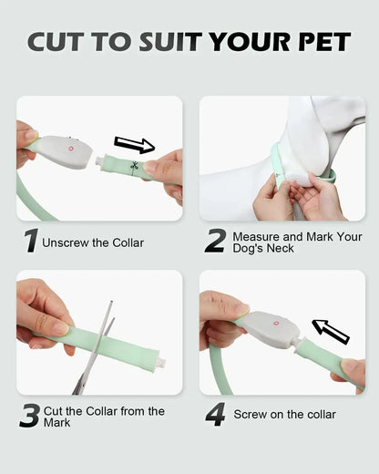 ColourShift Safety LED Collar