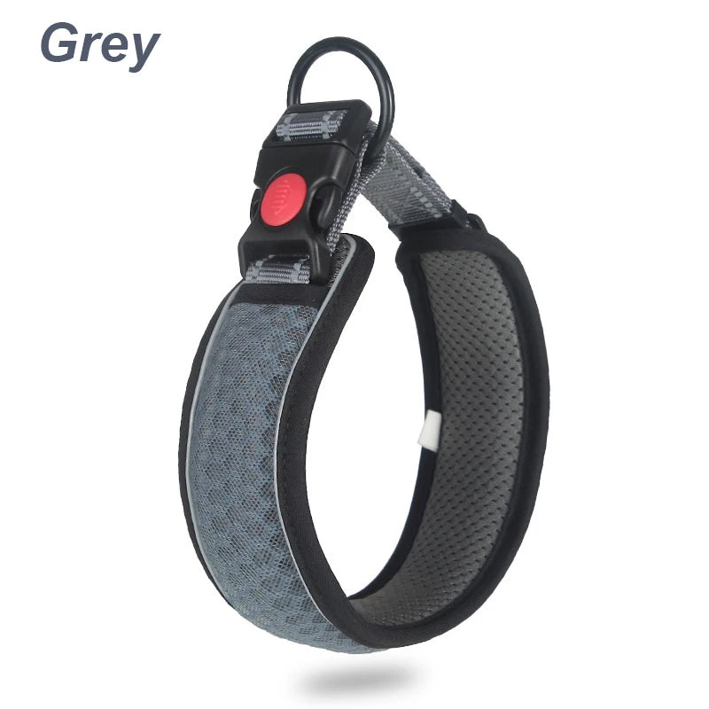 Glow Grid Safety Collar