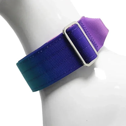 GradientGuard Collar & Lead Set