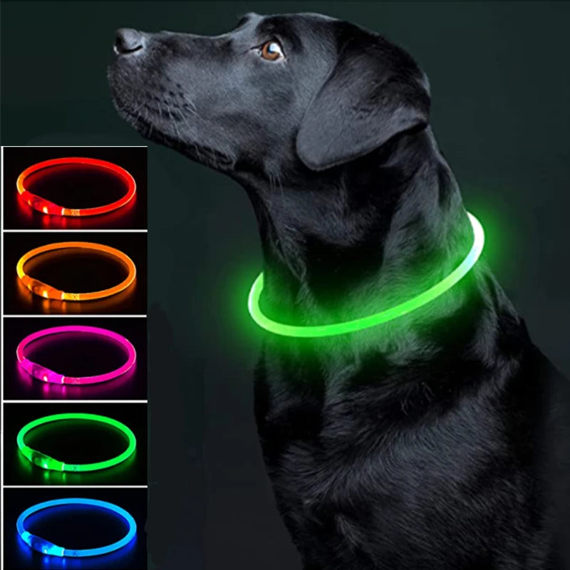 NightSafe USB Rechargeable Pet Necklace