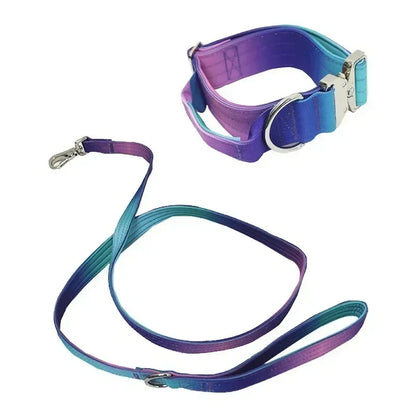 GradientGuard Collar & Lead Set