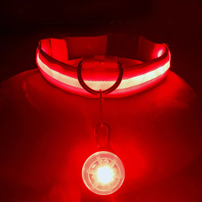 LuxeGlow USB Rechargeable LED Pet Collar