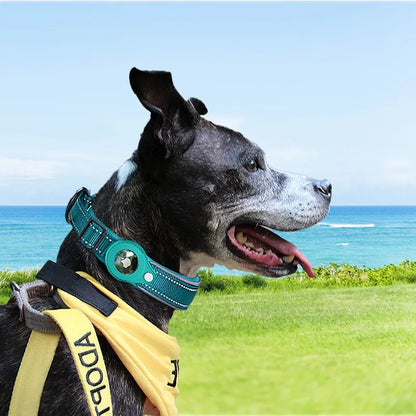 SafeTrack AirTag Collar Pod