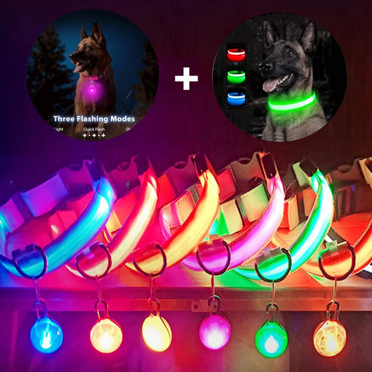 LuxeGlow USB Rechargeable LED Pet Collar