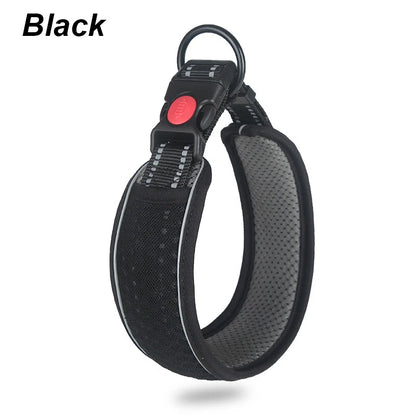 Glow Grid Safety Collar