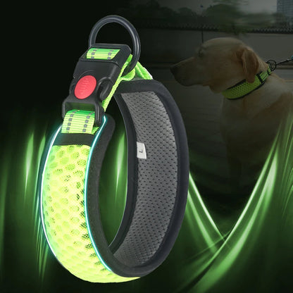 Glow Grid Safety Collar